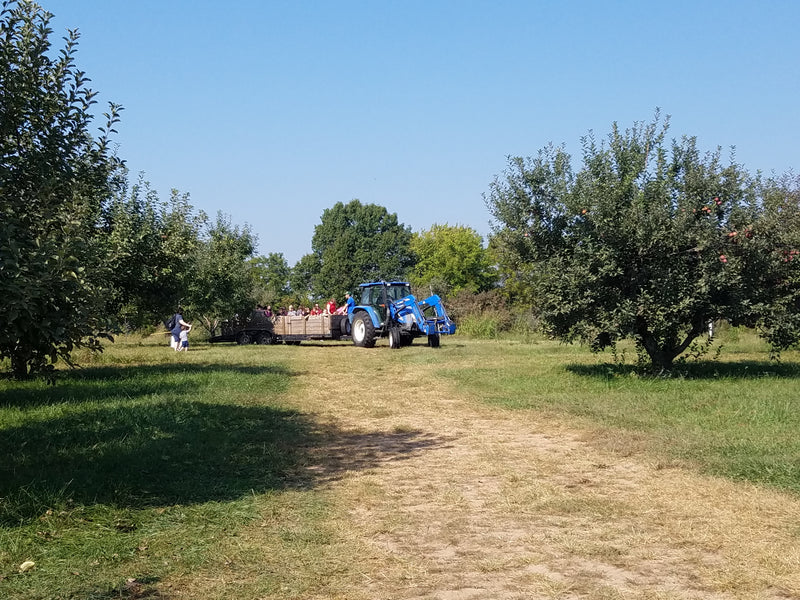 Farm Update 8-20-2018 - Farm Tours coming soon!