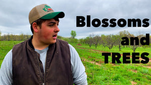 Farm Update with Blossoms, and Trees