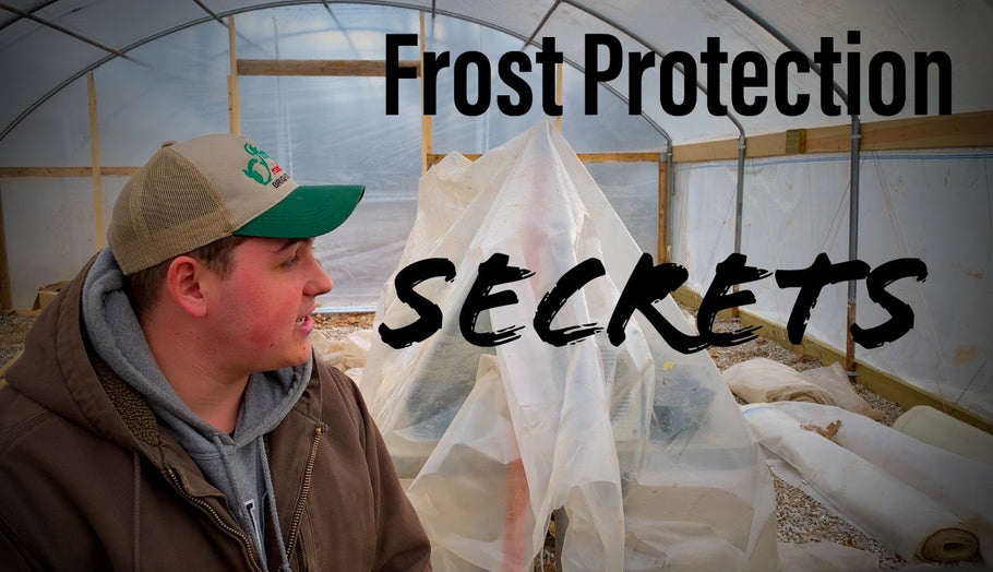 Frost Protection Secrets