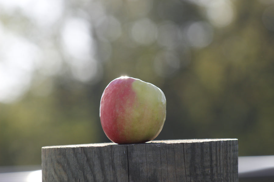 We are ending U-Pick apples on September 21.