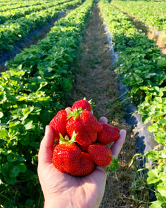 Strawberry Farm Pass